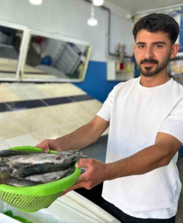 inci-kefali-av-sezonu-yeniden-basladi-goc-ve-pazar-satislari-PVirGHCQ.jpg