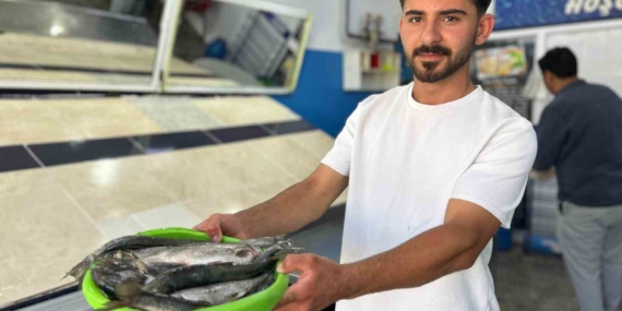 inci-kefali-av-sezonu-yeniden-basladi-goc-ve-pazar-satislari-PVirGHCQ.jpg