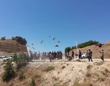 mazgirtte-kinali-kekliklerle-biyolojik-mucadele-yeni-basladi-Tqd6WXbJ.jpg