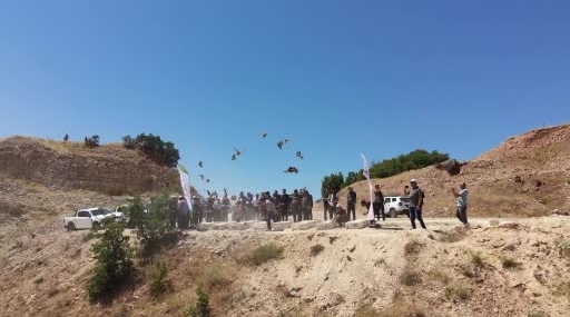 mazgirtte-kinali-kekliklerle-biyolojik-mucadele-yeni-basladi-Tqd6WXbJ.jpg