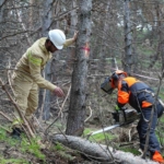 palandokende-orman-bakimi-ve-yonetim-planlari-hakkinda-bilgilendirme-iwag8iZH.jpg