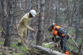 palandokende-orman-bakimi-ve-yonetim-planlari-hakkinda-bilgilendirme-iwag8iZH.jpg