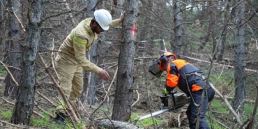 palandokende-orman-bakimi-ve-yonetim-planlari-hakkinda-bilgilendirme-iwag8iZH.jpg