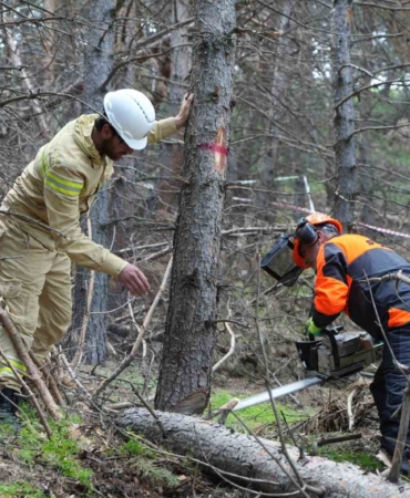 palandokende-orman-bakimi-ve-yonetim-planlari-hakkinda-bilgilendirme-iwag8iZH.jpg