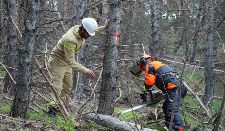 palandokende-orman-bakimi-ve-yonetim-planlari-hakkinda-bilgilendirme-iwag8iZH.jpg