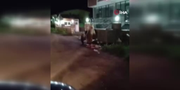 sarikamista-ayi-ailesinin-turkulu-yemegi-cep-telefonuyla-goren-vatandasin-kaydi-viral-oldu-2OPfRqHH.jpg