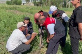yuksekovada-salep-yetistiriciligi-ilk-hasatla-geleneksel-uretime-ticari-boyut-kazandirildi-vSBdhWID.jpg