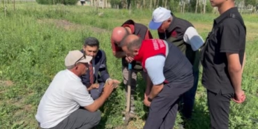 yuksekovada-salep-yetistiriciligi-ilk-hasatla-geleneksel-uretime-ticari-boyut-kazandirildi-vSBdhWID.jpg