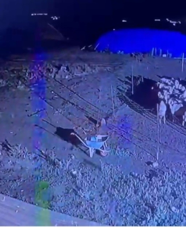 gece-gelen-kurt-koyde-guvenlik-kameralarina-yansiyan-anlar-5TIszyEf.jpg