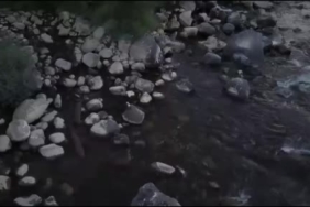 goynuk-cayinda-nesli-tehlikede-su-samurlari-goruntulendi-drone-kaydiyla-haber-puvuRbrN.jpg