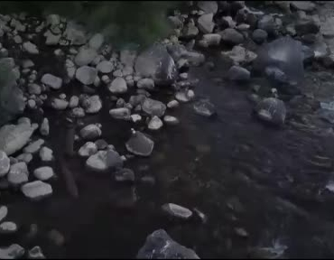 goynuk-cayinda-nesli-tehlikede-su-samurlari-goruntulendi-drone-kaydiyla-haber-puvuRbrN.jpg