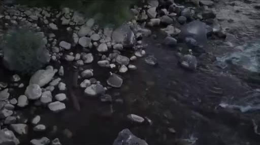 Göynük Çayı’nda Nesli Tehlikede Su Samurları Görüntülendi – Drone Kaydıyla Haber