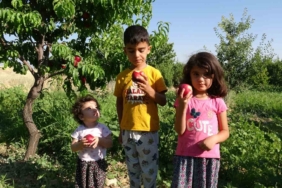 malatyada-erken-hasatla-yeni-umut-santa-maria-armudu-ve-nektarinle-ciftciden-tuketiciye-dogrudan-servis-uIbMAAN7.jpg