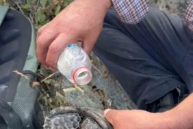 akdagda-yanginda-kaplumbaga-kurtarildi-alevlerden-uzaklasmayi-basardi-LVNKSNh7.jpg