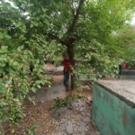 baglarda-mezarlikta-agaca-asili-sahis-olayi-wvQtfR2f.jpg
