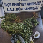 diclede-devriye-aninda-yakalanan-supheli-kenevir-ve-esrarla-sucustu-hftRemJm.jpg