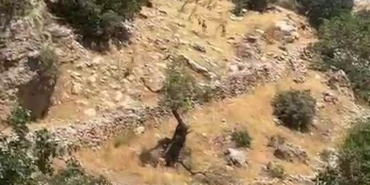 diyarbakir-cermikte-nesli-tukenme-tehlikesi-altindaki-yaban-kecileri-suru-halinde-goruntulendi-Jyr2itBw.jpg