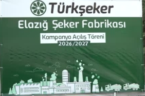 elazig-seker-fabrikasi-71-seker-pancari-alimi-ve-isleme-kampanyasi-basladi-uretim-hedefleri-ve-rNtlkPHs.jpg