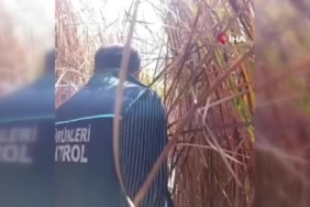 nehil-sazliginda-susuzluk-krizi-ve-can-suyu-operasyonu-NAasmO35.jpg