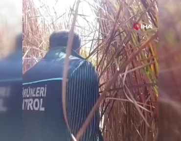 nehil-sazliginda-susuzluk-krizi-ve-can-suyu-operasyonu-NAasmO35.jpg