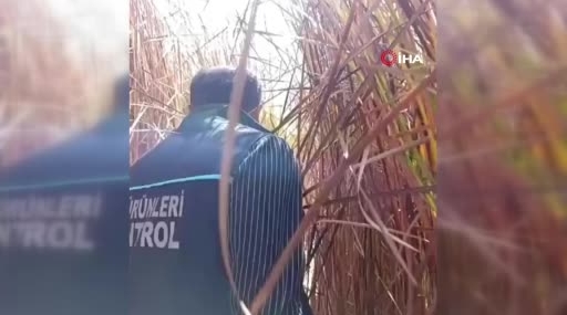 Nehil Sazlığı’nda Susuzluk Krizi ve Can Suyu Operasyonu