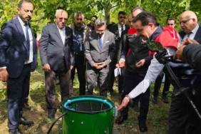 adilcevaz-cevizi-hasadiyla-tarimsal-bereket-basladi-cografi-isaretle-gelen-one-cikan-gelenek-73XwYYtf.jpg