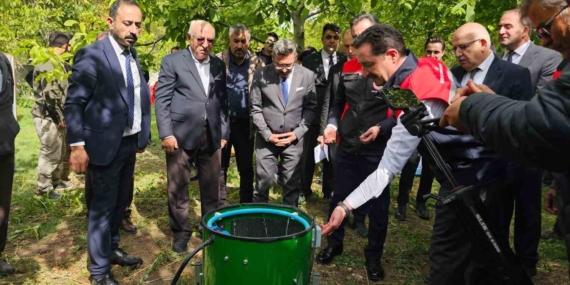 adilcevaz-cevizi-hasadiyla-tarimsal-bereket-basladi-cografi-isaretle-gelen-one-cikan-gelenek-73XwYYtf.jpg