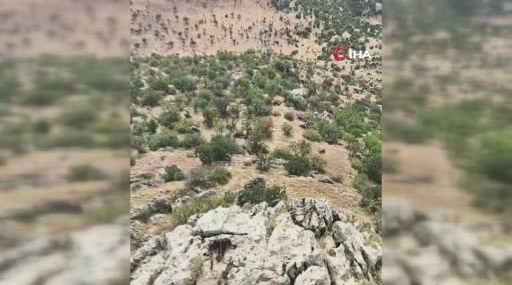 Çermik’te Akpınar Mahallesi’nde Domuz Sürüsü Kamerada