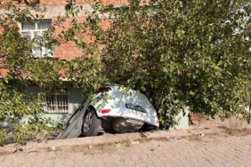 diyarbakirda-suv-istinat-duvarindan-dustu-yasanan-kazaya-iliskin-inceleme-suruyor-Q9cLYlL2.jpg