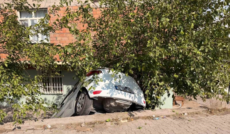 diyarbakirda-suv-istinat-duvarindan-dustu-yasanan-kazaya-iliskin-inceleme-suruyor-Q9cLYlL2.jpg