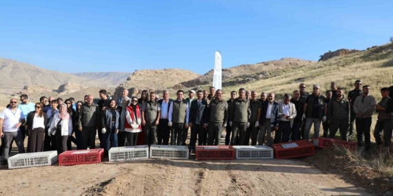 Hasankeyf’te Doğaya Ceylan ve Kınalı Keklik Bırakımıyla Biyoçeşitliliğe Katkı