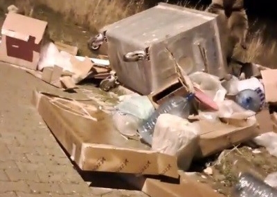 Kış Öncesi Boz Ayılar Sarıkamış’ta Şaşırtıcı Yolculuklar Yaşıyor