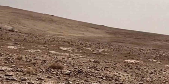 Midyat’ta Yasa Dışı Keklik Avına Yönelik Operasyon Sonuçları