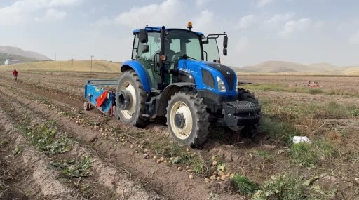 Patnos Patates Hasadında Büyük Umutlar: 450 Dönümlük Arazide 1.500 Ton Bekleniyor