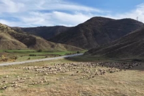 van-ve-bitlis-yaylalarindan-siirte-gocer-yolculuklari-kisa-hazirlik-ve-zorlu-gunler-ZpU5NM8T.jpg