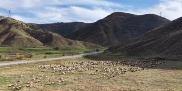 van-ve-bitlis-yaylalarindan-siirte-gocer-yolculuklari-kisa-hazirlik-ve-zorlu-gunler-ZpU5NM8T.jpg