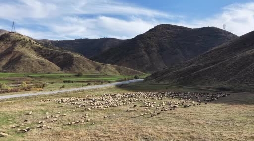 Van ve Bitlis Yaylalarından Siirt’e Göçer Yolculukları: Kışa Hazırlık ve Zorlu Günler
